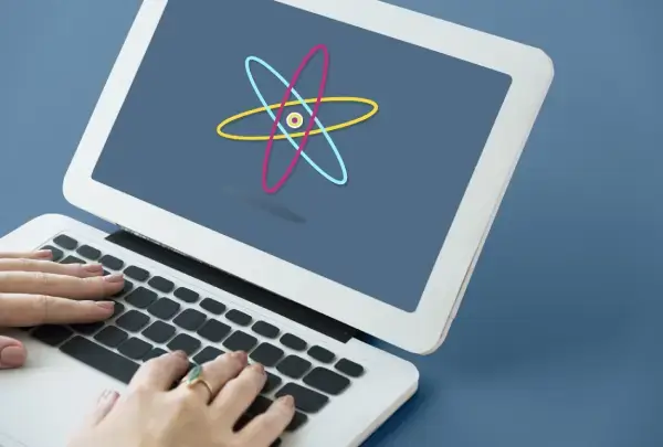 Reactjs Development